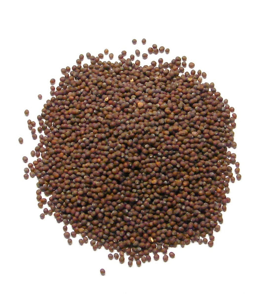 Laxmi Mustard Seed 200 GM (NONGMO)